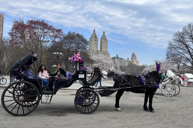 NYC Empire State Horses Carriage Ride in Central Park (45 Mins)