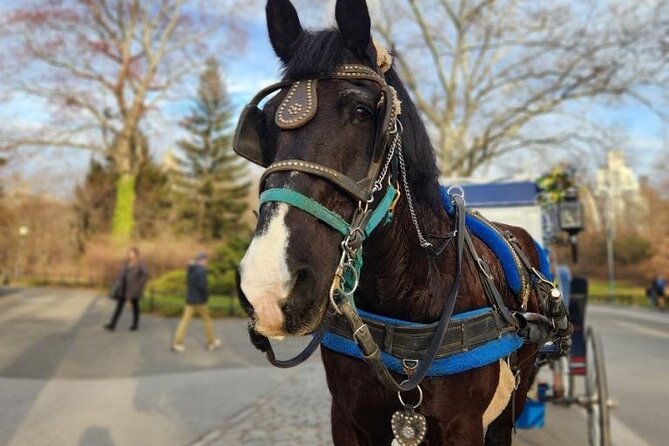 NYC Horse and Carriage Central Park Tours