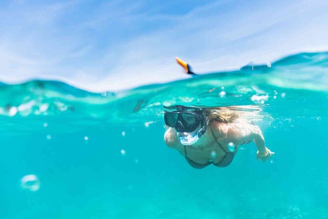 Oahu Coastline Cruise: Turtle Snorkeling and Jumping Platform