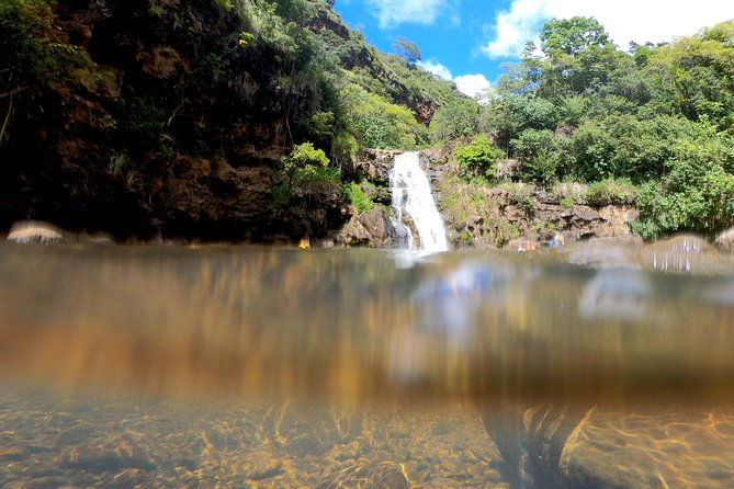 Oahu Custom Private Circle Island and Mini Circle Island Tours
