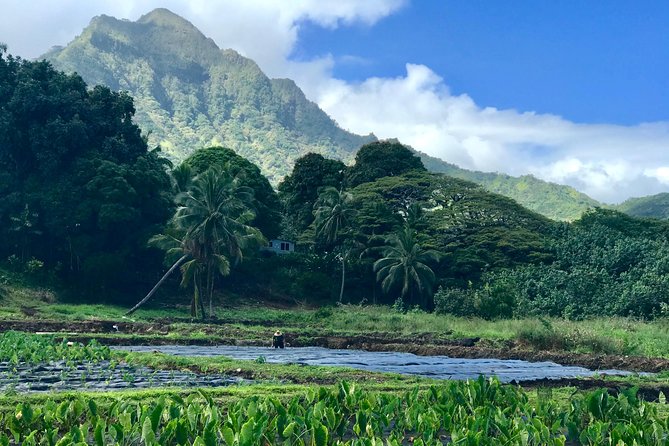Oahu Customizable Private Community Service Review