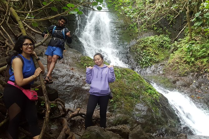 Oahu Hidden Waterfall Hike: A Tropical Paradise Adventure