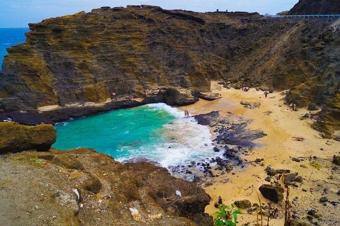 Oahu Polo Game and Private Island Tour Review