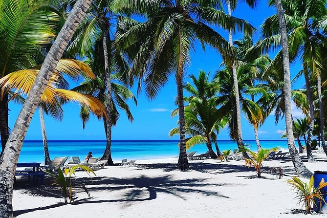 Ocean El Faro Resort – Round Trip Shuttle – Punta Cana Airport