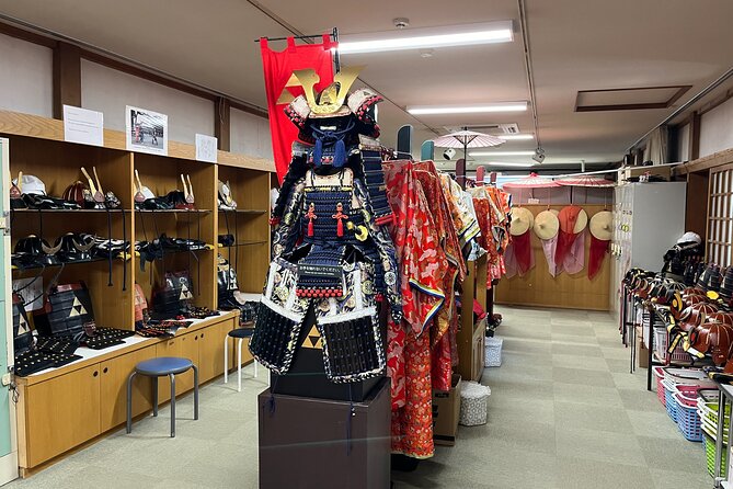 Odawara Castle Sightseeing Tour by Shinkansen