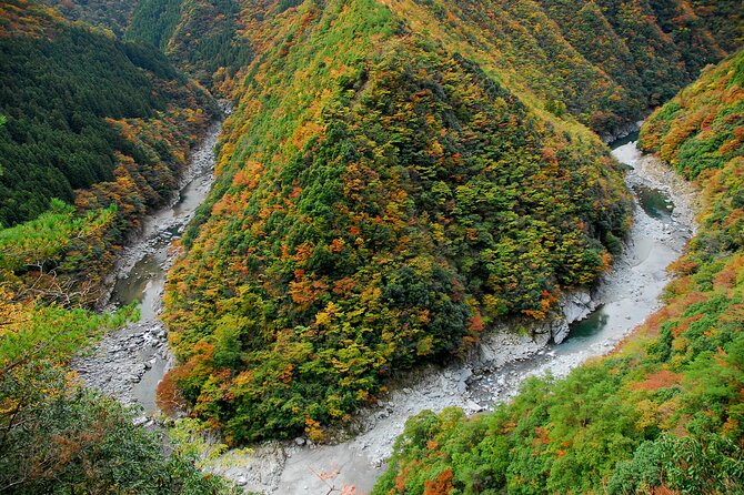 Oku-Iya Cab Plan 6 Hours Course / Tokushima, Shikoku