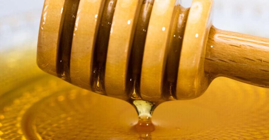 Olicatessen Greek Honey Tasting in Thessaloniki