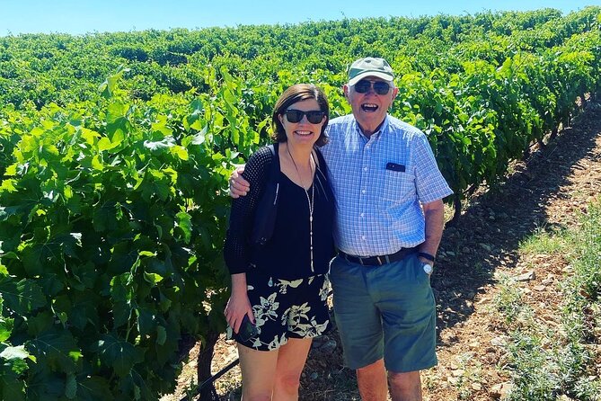 Olive Oil and Winery Tour From Zaragoza City
