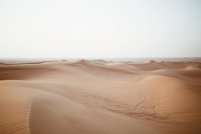 Oman Desert Experience - Wahiba Sands - Overview of Wahiba Sands