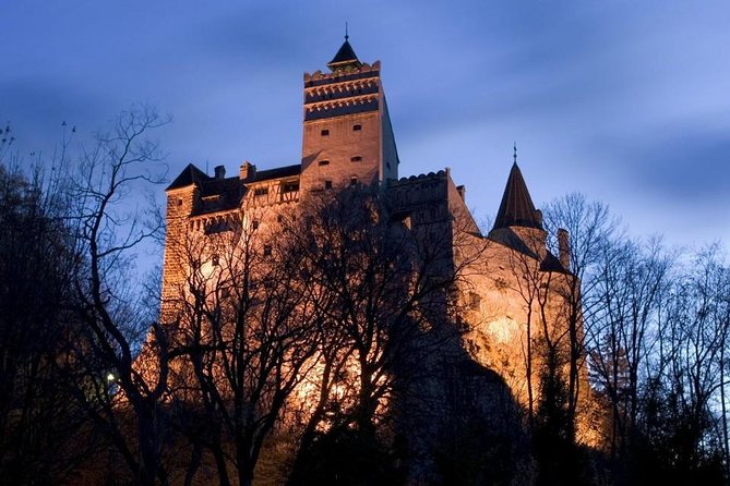 One Day Tour Dracula Castle. Libearty Bear Sanctuary. From Brasov