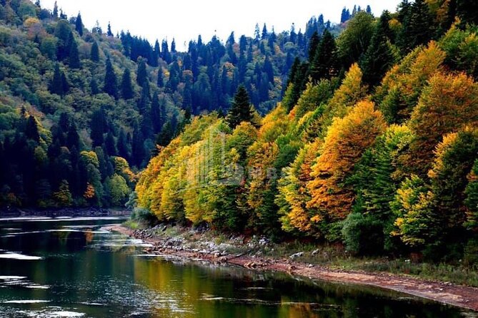 One Day Tour in Racha-Lechkhumi