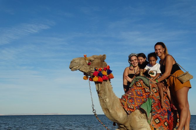 One Hour Camel Ride at Amazing Marsa Alam Desert With Transfer – Marsa Alam