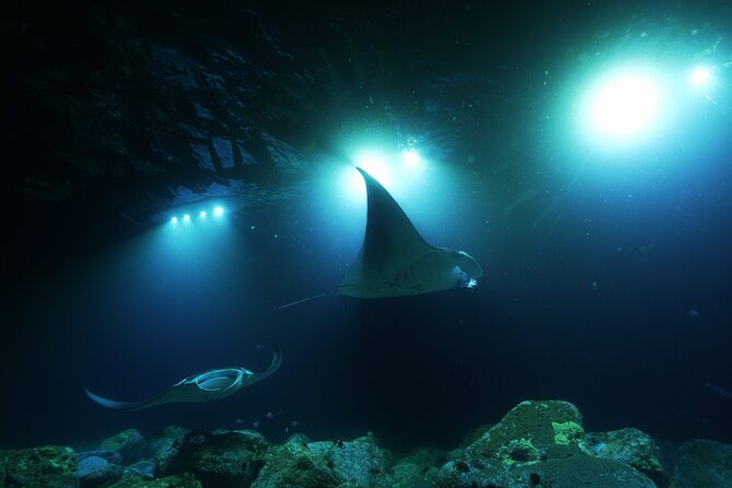 One Tank Manta Night Dive and Snorkel - Meeting Point and Directions