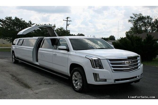 ONE WAY: Las Vegas Luxury Limo Transfer From/To Harry Reid Airport (Las)