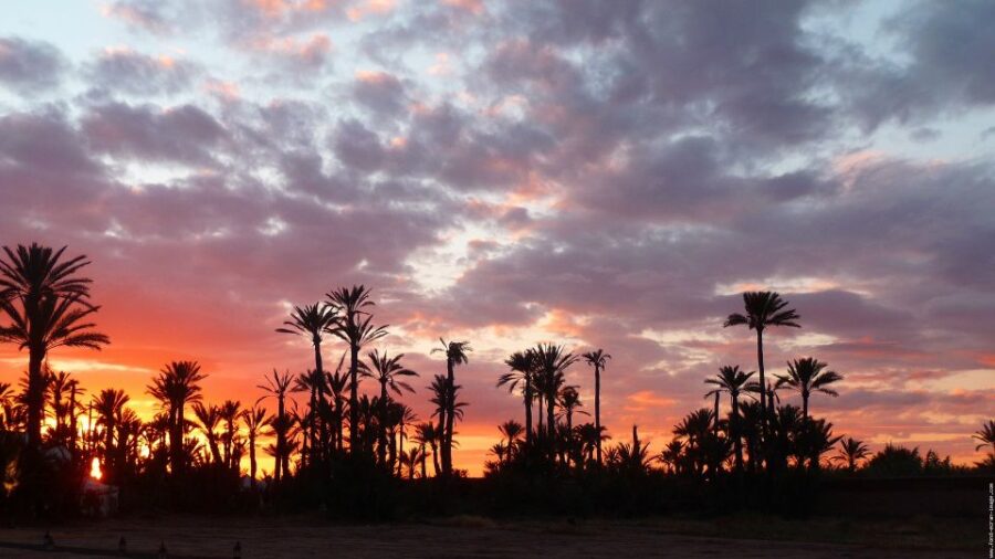 One Way Transfer From Fes to Marrakech