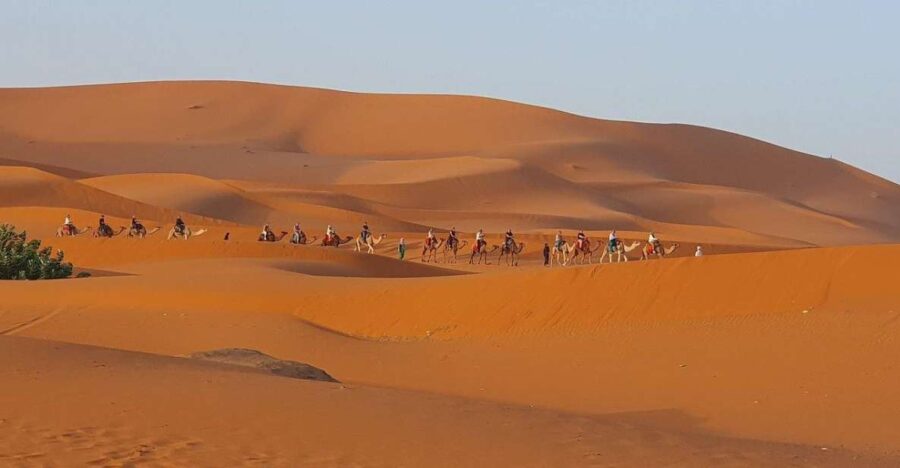One Way Trip From Fez to Merzouga (Only Transportation )
