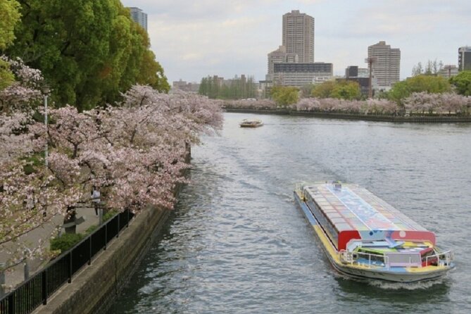 Osaka and Kyoto Stunning Cherry Blossoms and Sakura Cruise Tour - Inclusions