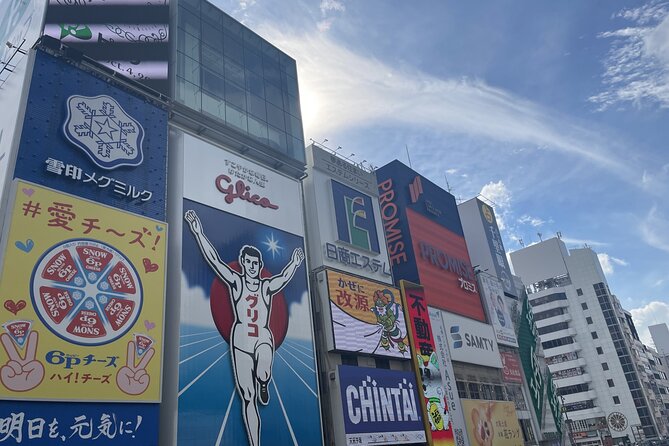Osaka and Kyoto With National Licensed Guide by Private Car - Tour Overview and Inclusions