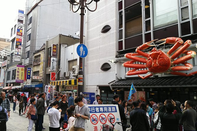 Osaka Castle & Dotonbori Lively One-Day Walking Tour
