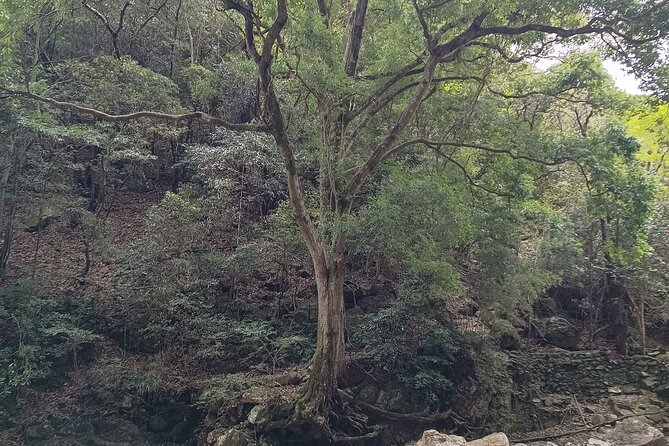 Osaka River Rapids Hike and Natural Hot Spring Tour