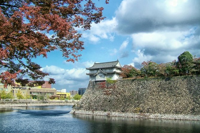 Osaka Walking Tour With a Licensed Guide