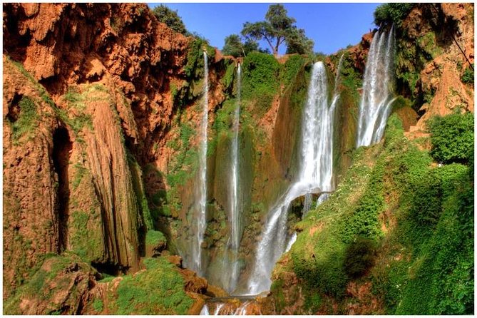Ouzoud Waterfalls Full-Day Tour From Marrakech