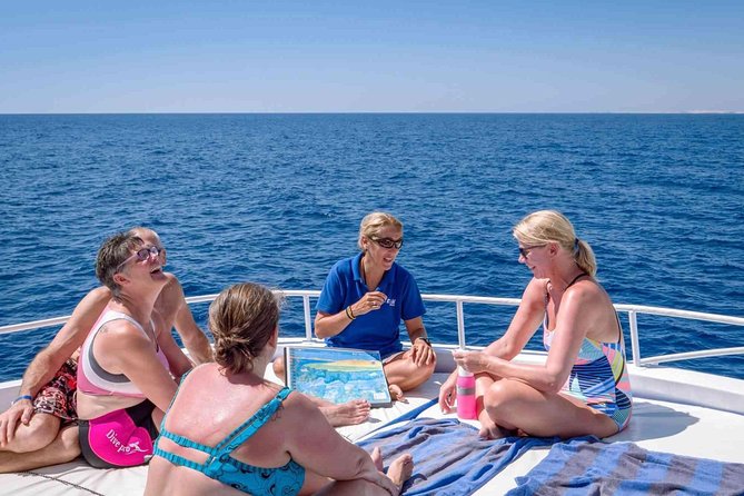 Overnight Trip To El Ain Sokhna Red Sea From Cairo