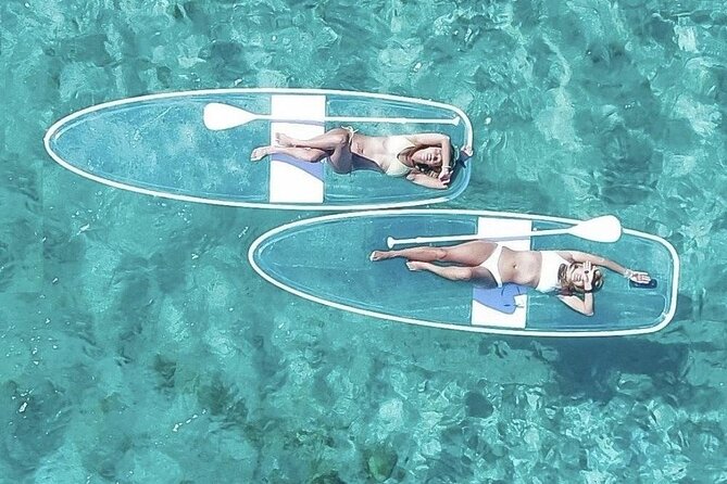 Paddle Board Experience in Turks & Caicos Islands - Unique Wildlife and Sights to See