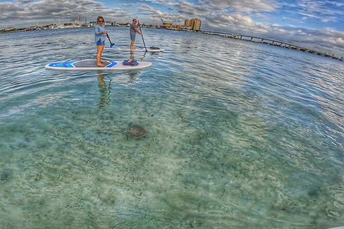 Paddle Boarding Activity to Peanut Island Review