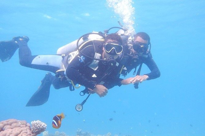 PADI Open Water Course From Hurghada El Gouna Makadi Bay Soma Bay Safaga
