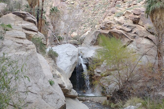 Palm Springs Desert Oasis Hike in Indian Canyons