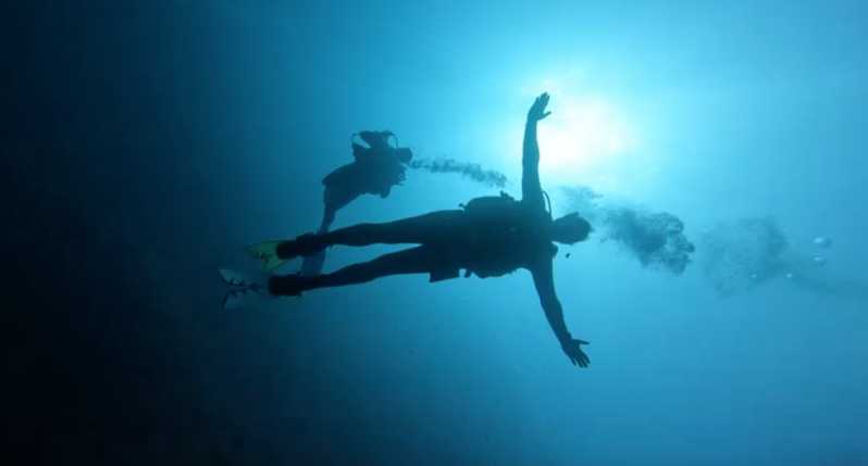 Palma De Mallorca: PADI Open Water Diver Course - Course Structure