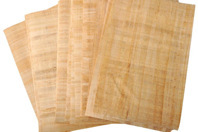 Papyrus Manufacturing Tour and Learn Papyrus Making in Egypt