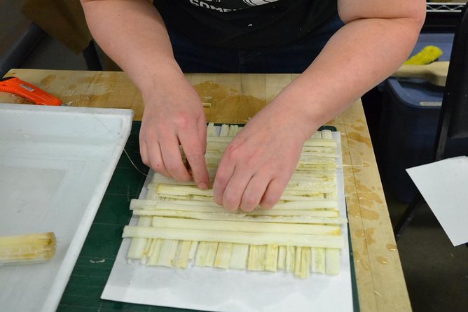 Papyrus Manufacturing Tour and Papyrus Making Demonstration