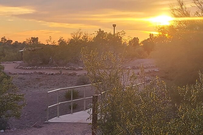 Peaceful Morning Walk Review: A Desert Adventure