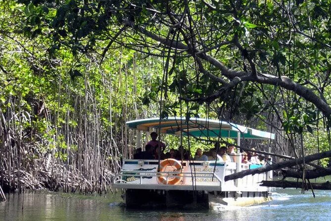 Pelican Bar and Black River Safari Combine Tour From Montego Bay - Tour Overview