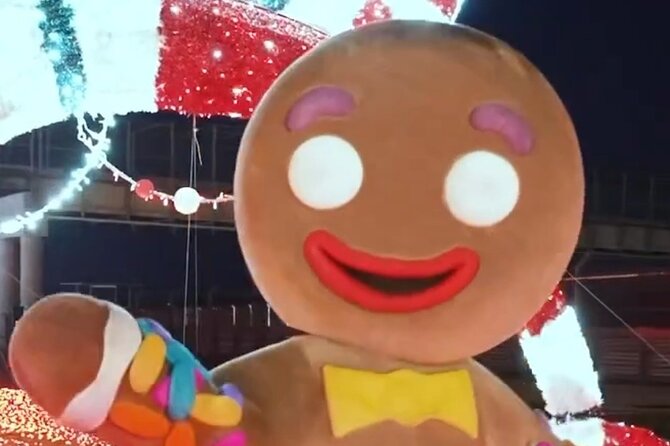 Peppermint Parkway Christmas Lights Tour Austin - What to Expect on the Tour