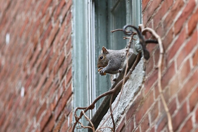 Philadelphia Walking Tour: A Lot of Colonial Nonsense