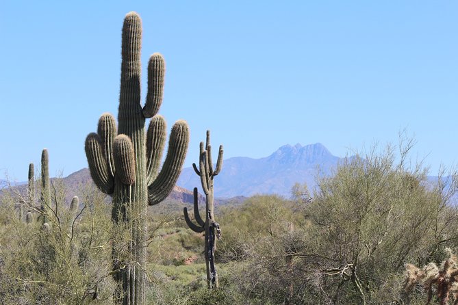 Phoenix Wilderness Hiking Tours Review
