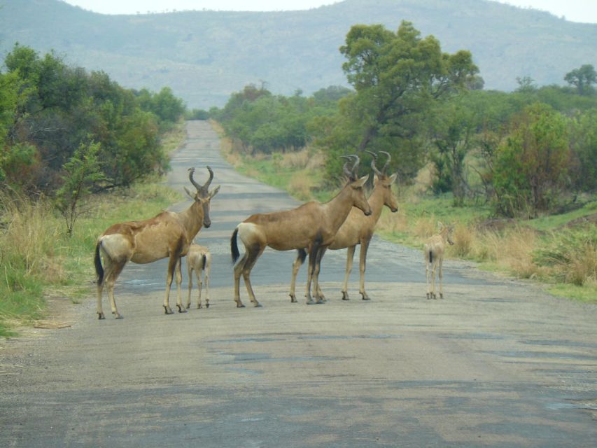 Pilanesberg National Park - Location and Size
