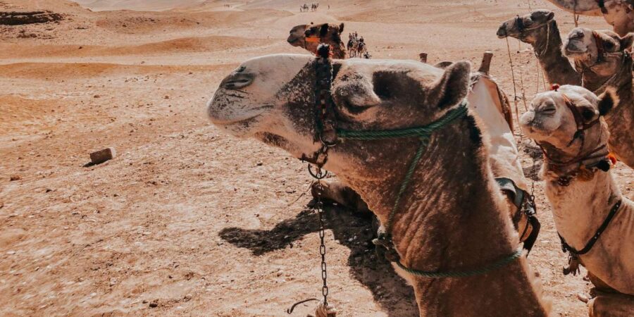 Pivate Agafay Desert Experience From Marrakech - Overview of the Experience
