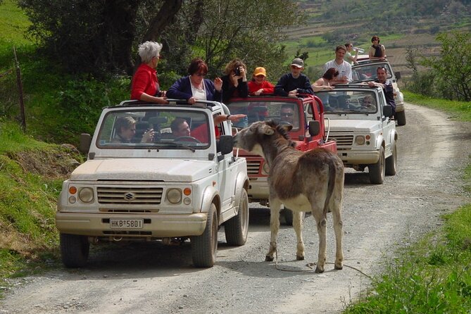 Plakias, Spili and Kotsifou Canyon Jeep Safari 4x4 - Tour Overview
