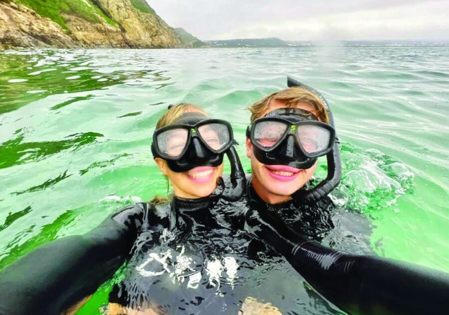 Plettenberg Bay: Swim With the Seals - Activity Overview