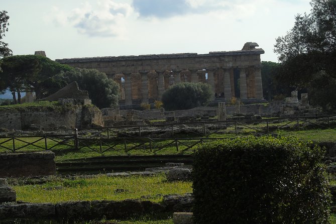Pompeii and Paestum Fullday From Naples or Sorrento or Positano or Amalfi