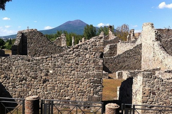 Pompeii and Vesuvius Experience From Naples – Skip the Line –