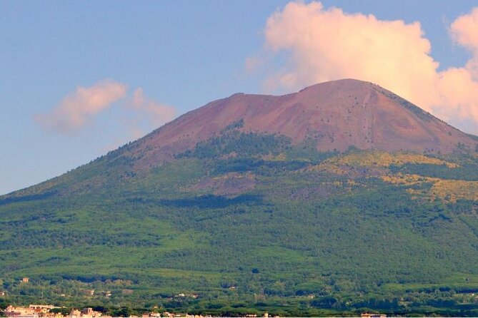 Pompeii & Bosco De Medici Winery Skip the Line From Sorrento