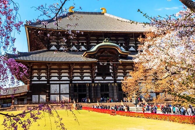Popular Highlights of Nara Region Day Tour Departure From Osaka