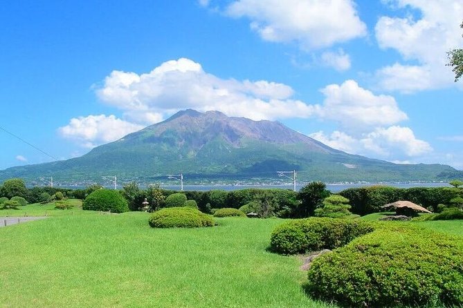 Port Pick-Up: Kagoshima Private Tour Licensed Guide ＆ Vehicle - Tour Overview