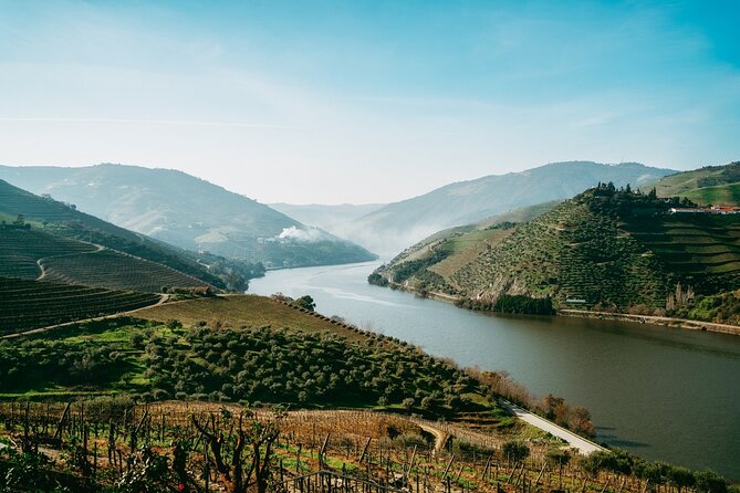 Porto: Douro Valley Tour With 2 Wines, Lunch and Cruise