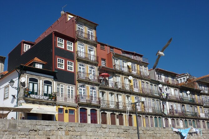 Porto Private Walking Tour With a Professional Guide - Experience Features